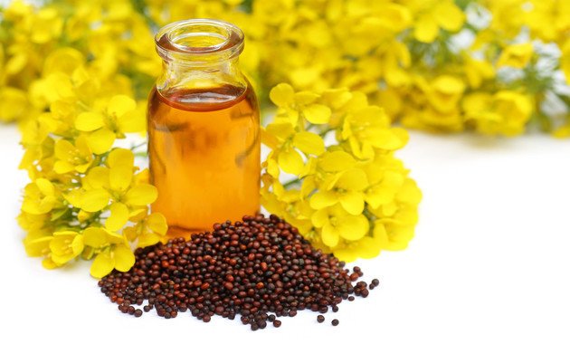 Health Benefits of Mustard Oil